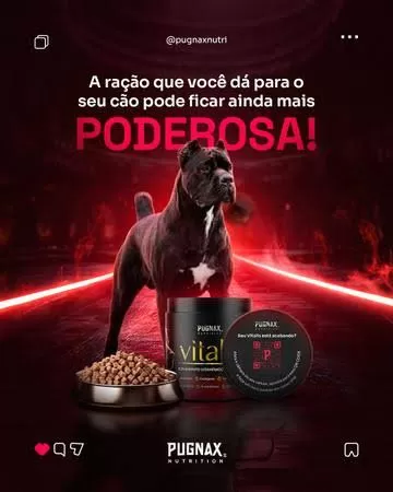 TENHA UM SUPER CÃO!